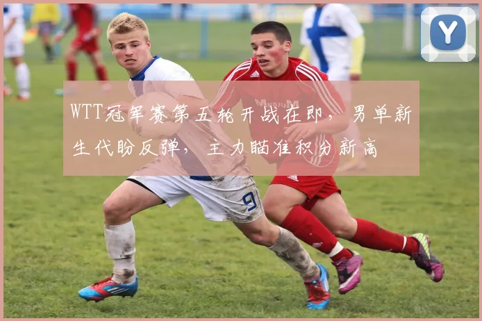 WTT冠军赛第五轮开战在即，男单新生代盼反弹，主力瞄准积分新高