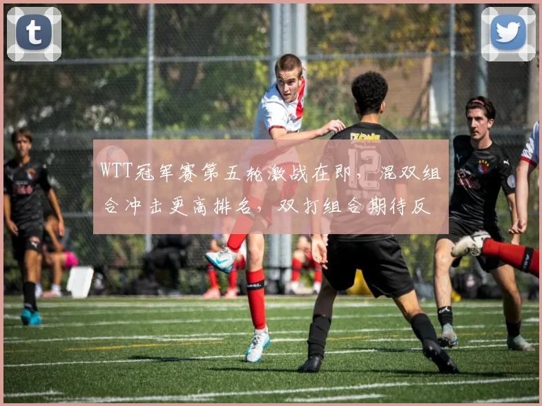 WTT冠军赛第五轮激战在即，混双组合冲击更高排名，双打组合期待反弹
