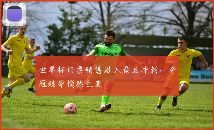 世界杯门票销售进入最后冲刺，夺冠赔率悄然生变