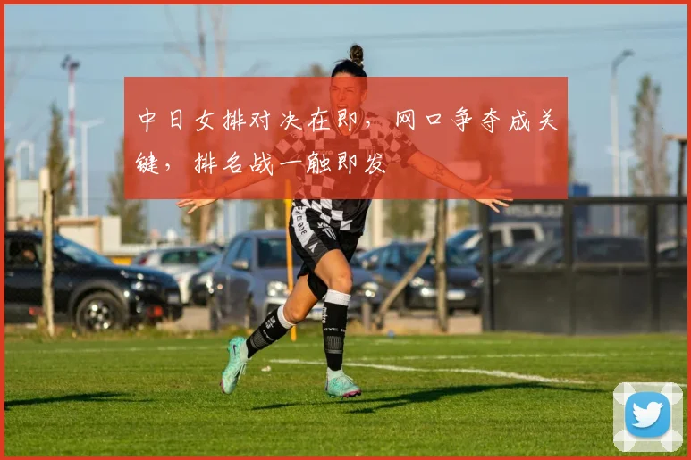 中日女排对决在即，网口争夺成关键，排名战一触即发